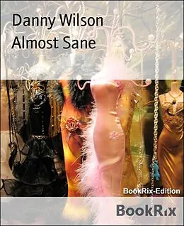 E-Book (epub) Almost Sane von Danny Wilson