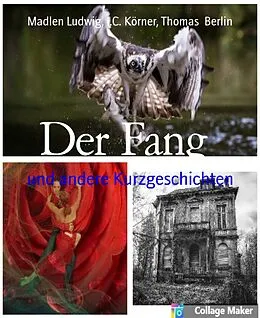 E-Book (epub) Der Fang von Madlen Ludwig, I. C. Körner, Thomas Berlin