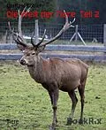 E-Book (epub) Die Welt der Tiere Teil 2 von Gerhard Köhler