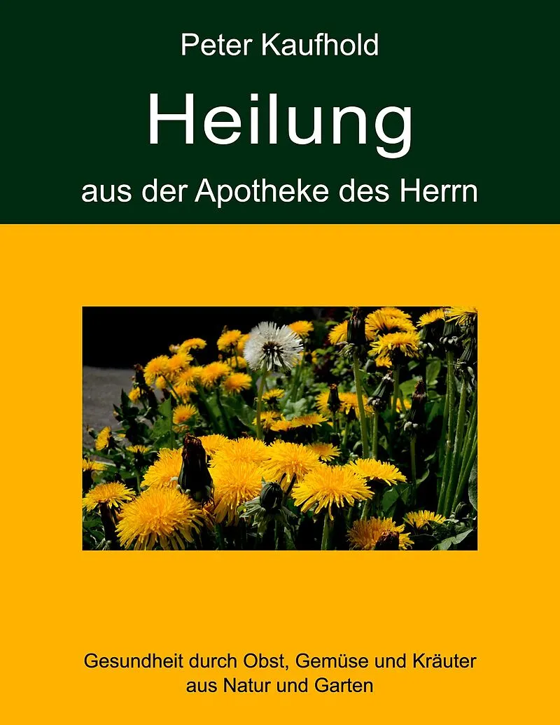 Heilung aus der Apotheke des Herrn - Band 2