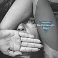 E-Book (epub) Die Zehntausend Dinge von Robert Saltzman