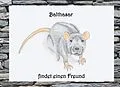 E-Book (epub) Balthasar findet einen Freund von Jasmin Wimmer
