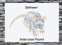E-Book (epub) Balthasar findet einen Freund von Jasmin Wimmer
