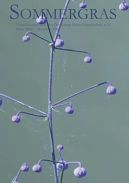 E-Book (epub) Sommergras 128 von Deutsche Haiku-Gesellschaft E. V.