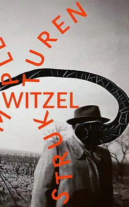 E-Book (epub) Komplexe Strukturen von Frank Witzel