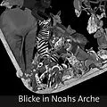 E-Book (epub) Blicke in Noahs Arche von Florian Söll