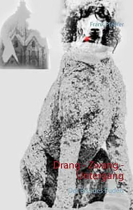 E-Book (epub) Drang - Zwang - Untergang von Frank Pfeiffer