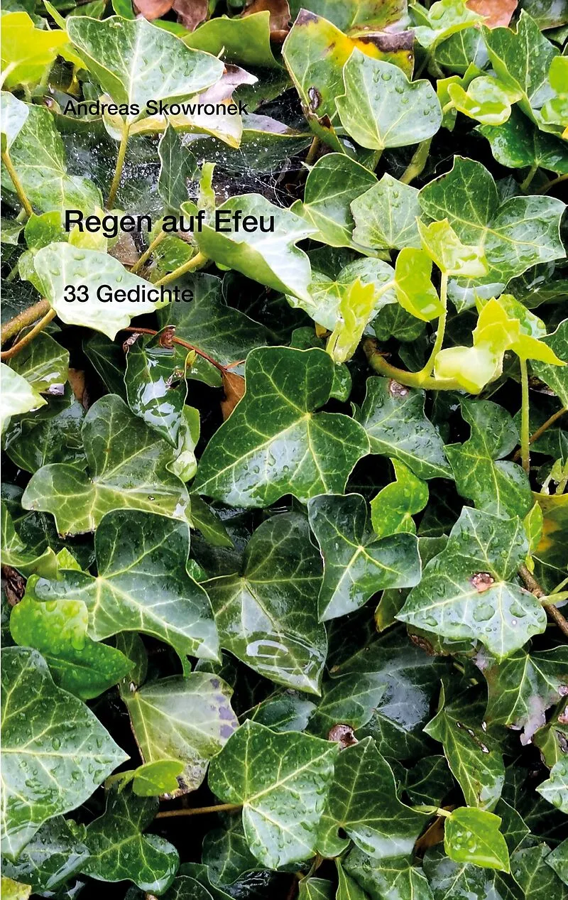 Regen auf Efeu von Andreas Skowronek: Buch kaufen | Ex Libris