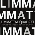 E-Book (epub) Limmattal Quadrat von Thomas Pfann