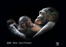 Kalender Affen - Zarte Primaten 2022 - Black Edition - Timokrates Kalender, Wandkalender, Bildkalender - DIN A4 (ca. 30 x 21 cm) von 