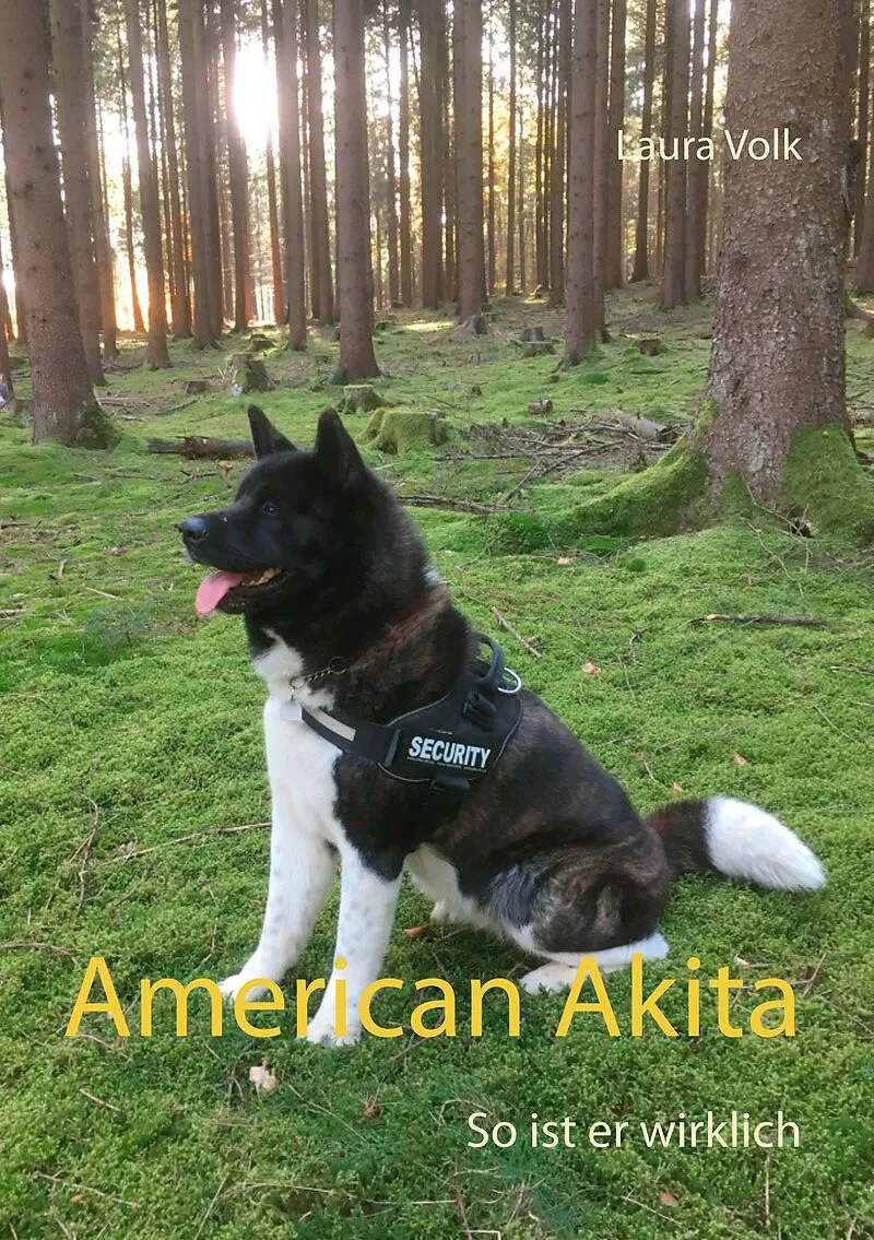 American Akita