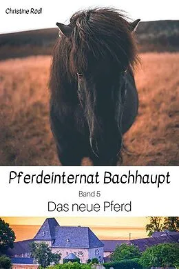 E-Book (epub) Das neue Pferd von Christine Rödl