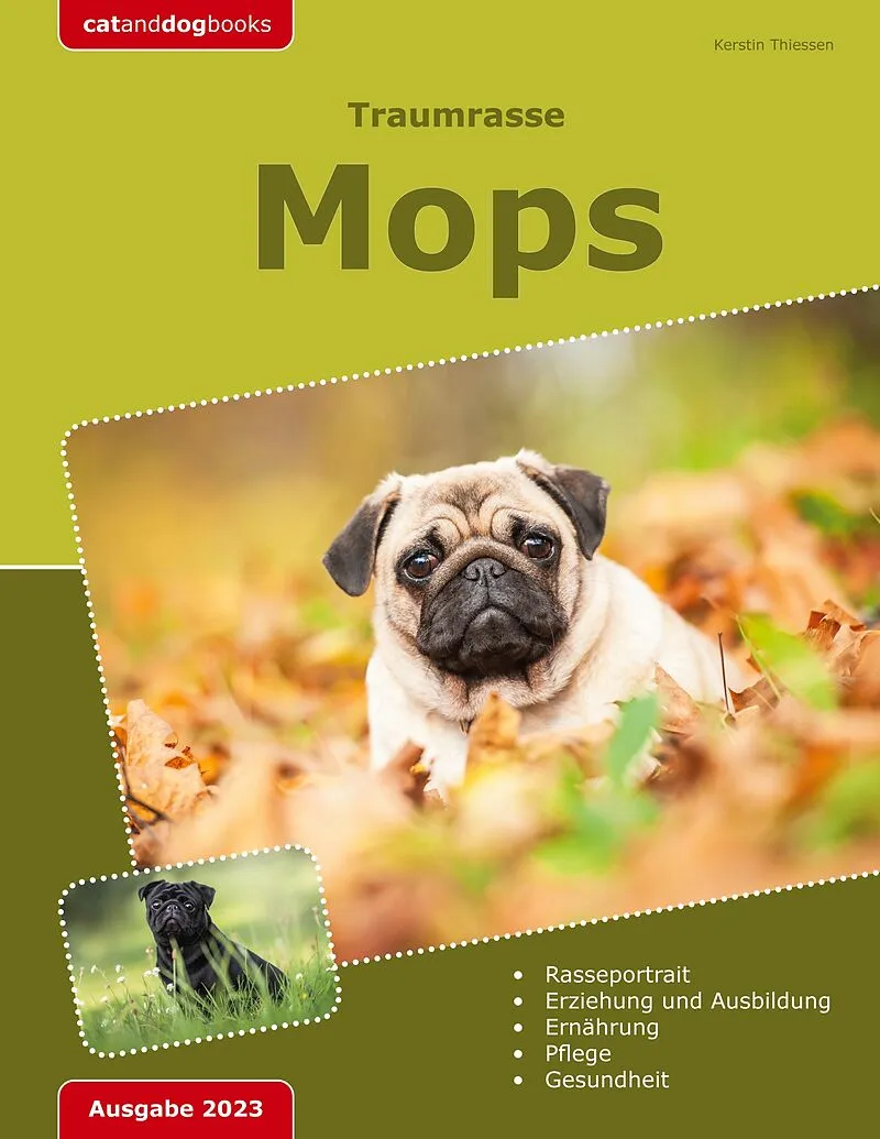 Traumrasse: Mops