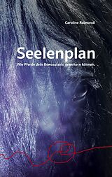 Kartonierter Einband Seelenplan von Caroline Raimondi