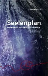 Kartonierter Einband Seelenplan von Caroline Raimondi