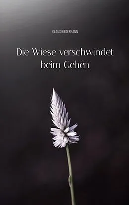 E-Book (epub) Die Wiese verschwindet beim Gehen von Klaus Biedermann