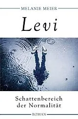 Kartonierter Einband (Kt) Levi von Melanie Meier