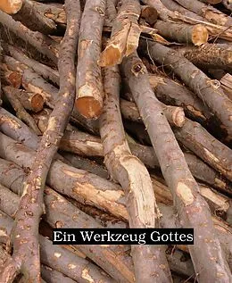 E-Book (epub) Ein Werkzeug Gottes von Uwe Plesotzky