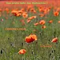 E-Book (epub) CORONOLOGIE -Das erste Jahr des Wahnsinns- von Andreas Haselbach