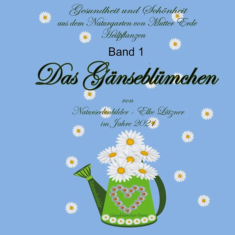 Das Gänseblümchen