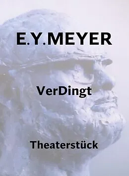 E-Book (epub) VerDingt von E. Y. Meyer