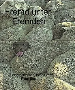 E-Book (epub) Fremd unter Fremden von peter Ernst