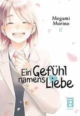 Kartonierter Einband Ein Gefühl namens Liebe 17 von Megumi Morino