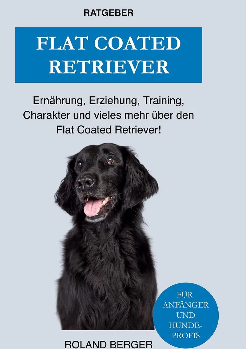 Flat Coated Retriever