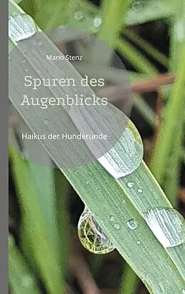 E-Book (epub) Spuren des Augenblicks von Mario Stenz