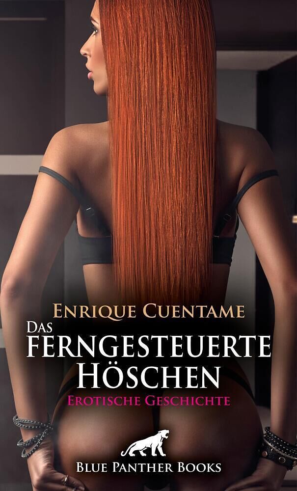 Das ferngesteuerte Höschen | Erotische Geschichte + 3 weitere Geschichten
