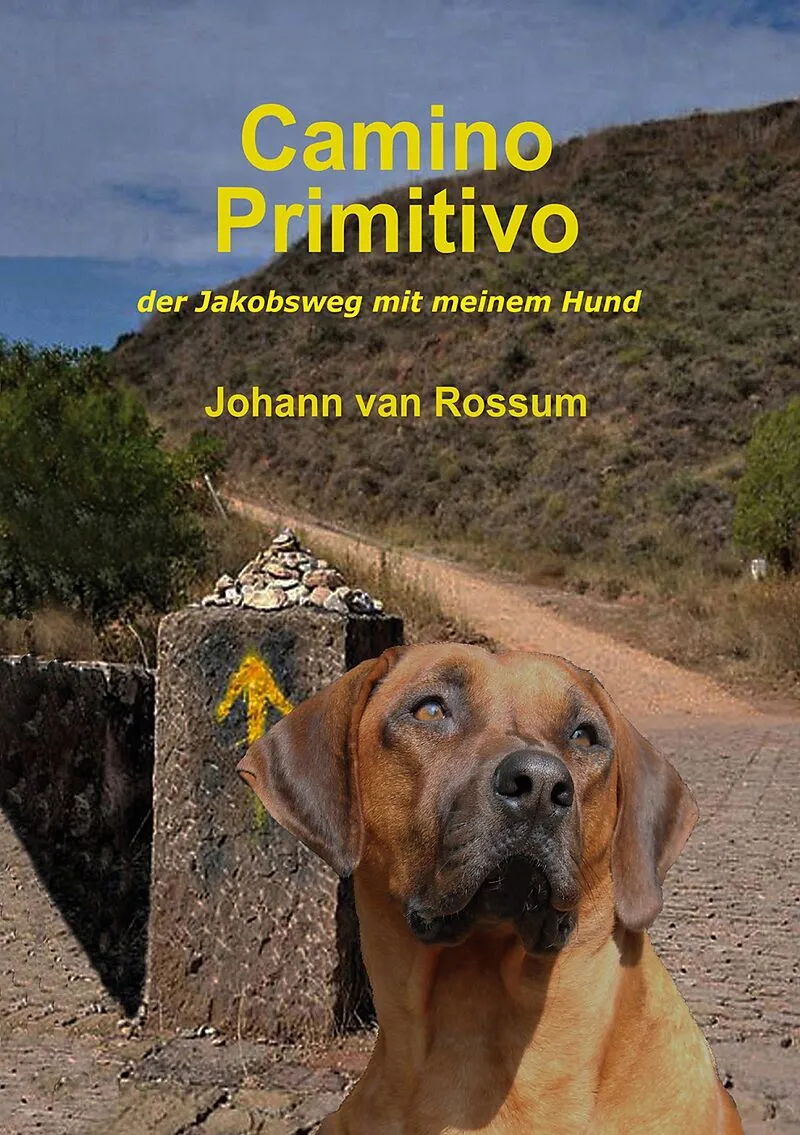Camino Primitivo