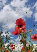E-Book (epub) Ich werde auf dich warten von Christine Stutz