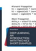 E-Book (pdf) Deep Learning, an introduction with two nice short examples von Roland Büchi