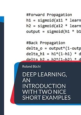 E-Book (pdf) Deep Learning, an introduction with two nice short examples von Roland Büchi
