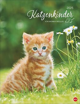 Kalender Katzenkinder Posterkalender 2025 von Monika Wegler