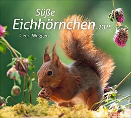 Kalender Eichhörnchen Bildkalender 2025 von Geert Weggen