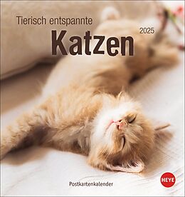 Kalender Tierisch entspannte Katzen Postkartenkalender 2025 von 