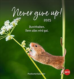 Kalender Never give up! Postkartenkalender 2025 von 