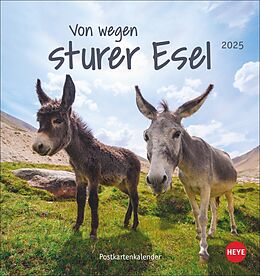 Kalender Esel Postkartenkalender 2025 - Von wegen sturer Esel von 