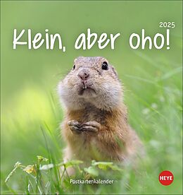 Kalender Klein, aber oho! Postkartenkalender 2025 von 