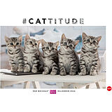 Kalender Whiskas Katzenkalender 2026 von 