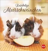 Kalender Kuschelige Meerschweinchen Postkartenkalender 2027 von Oliver Giel