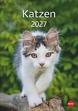 Kalender Katzen Kalender 2027 von