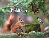 Kalender Vadim Trunov: Märchenhaftes Waldleben Posterkalender 2027 von Vadim Trunov
