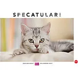 Kalender Whiskas Katzenkalender 2027 von