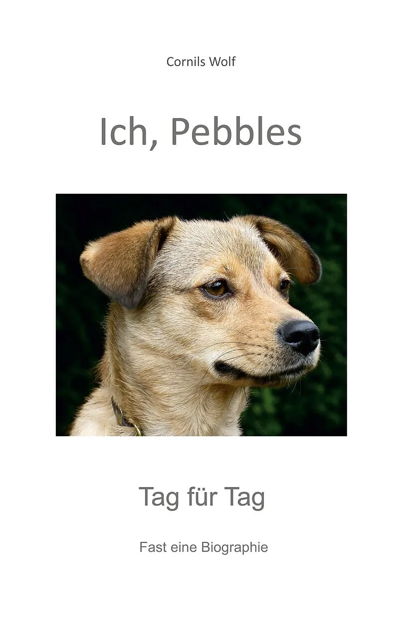 Ich, Pebbles