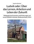 E-Book (epub) Ludwik oder: Über das Lernen, Arbeiten und Leben der Zukunft von Joachim Bröcher
