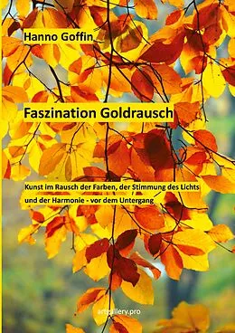 E-Book (epub) Faszination Goldrausch von Hanno Goffin