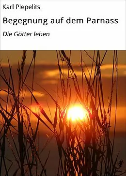E-Book (epub) Begegnung auf dem Parnass von Karl Plepelits