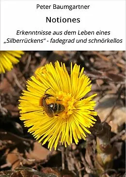 E-Book (epub) Notiones von Peter Baumgartner